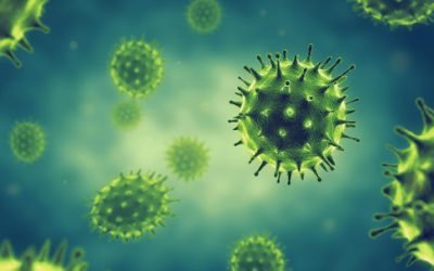 How Mosclean IG1 can be one of the preventive measures against Harmful Viruses?